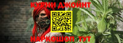 крисы Ливны